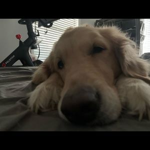 Meet your Posher, Jordan